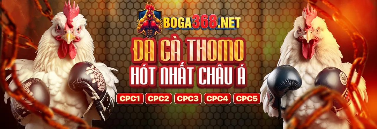 Trực tiếp đá gà Thomo gà tre kịch tính 2026